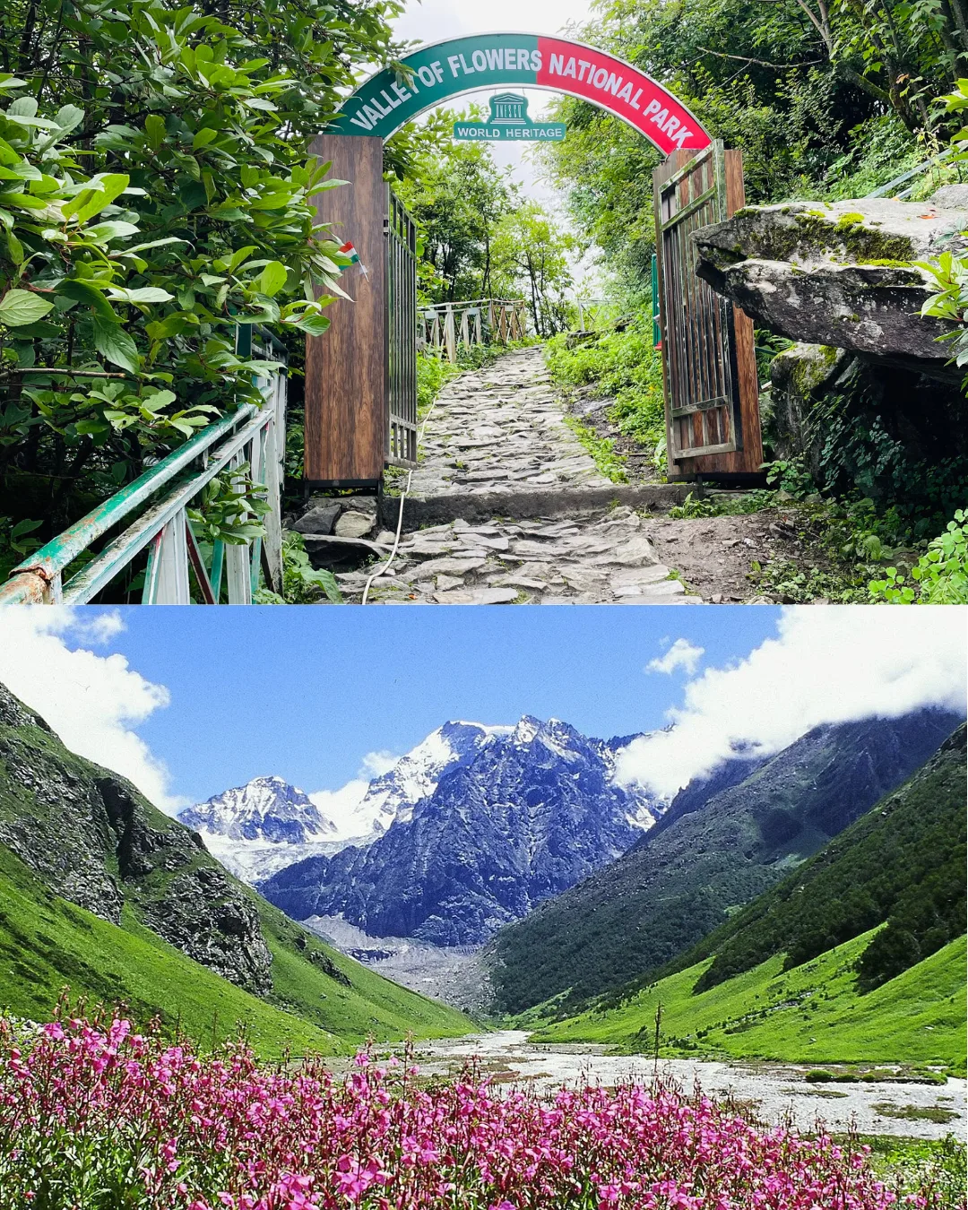 Valley of Flowers National Park